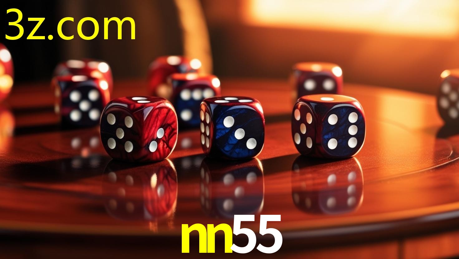 NN55.COM